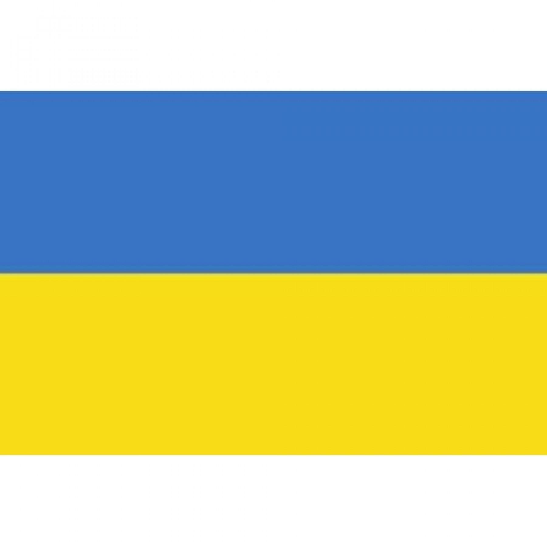 Drapeau Supporter Shop  Ukraine