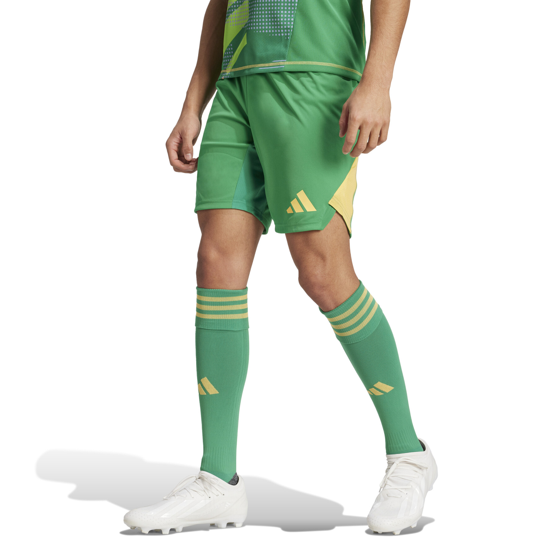 Goalkeeper shorts adidas Tiro 24 Pro