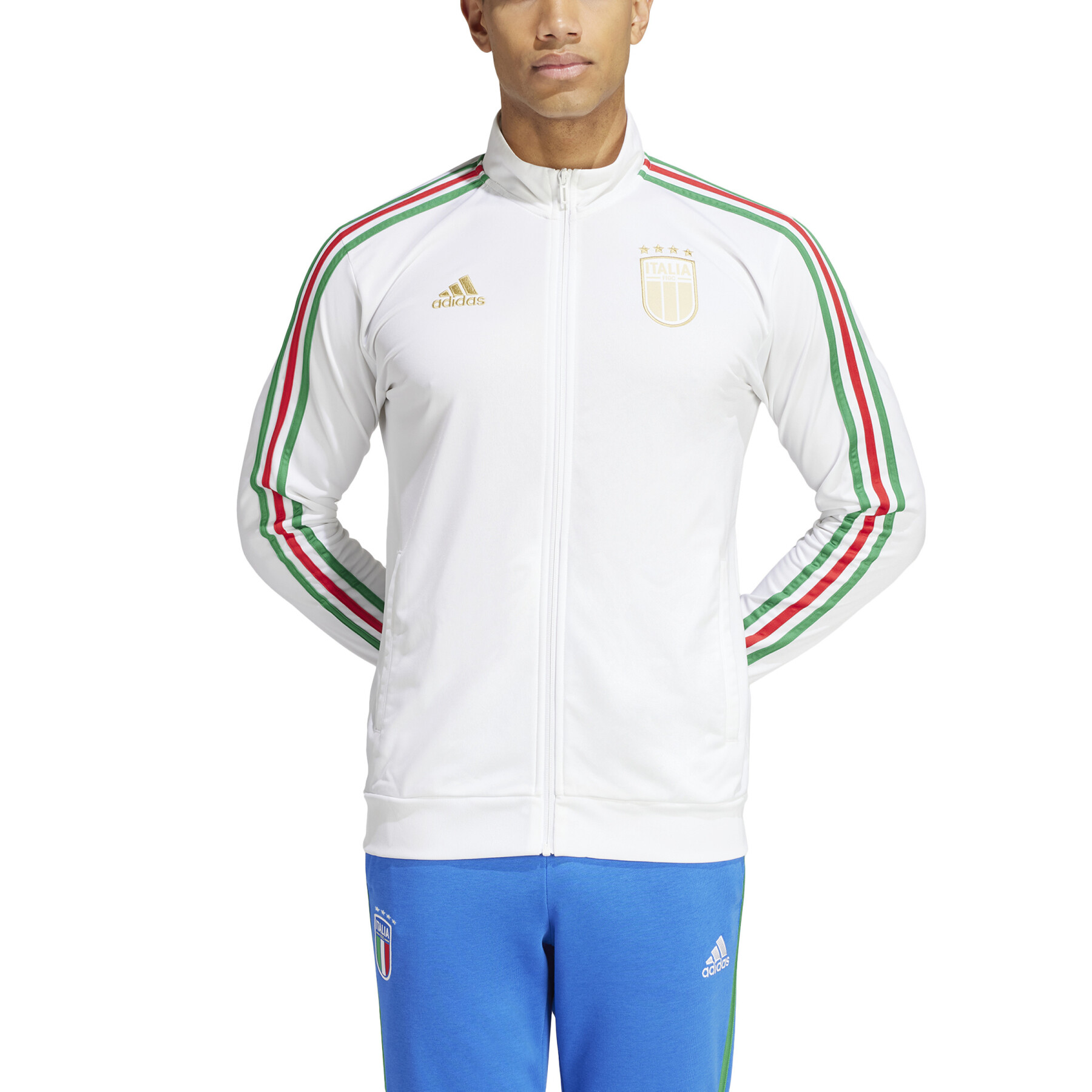 Sweat jacket Italie DNA 2023