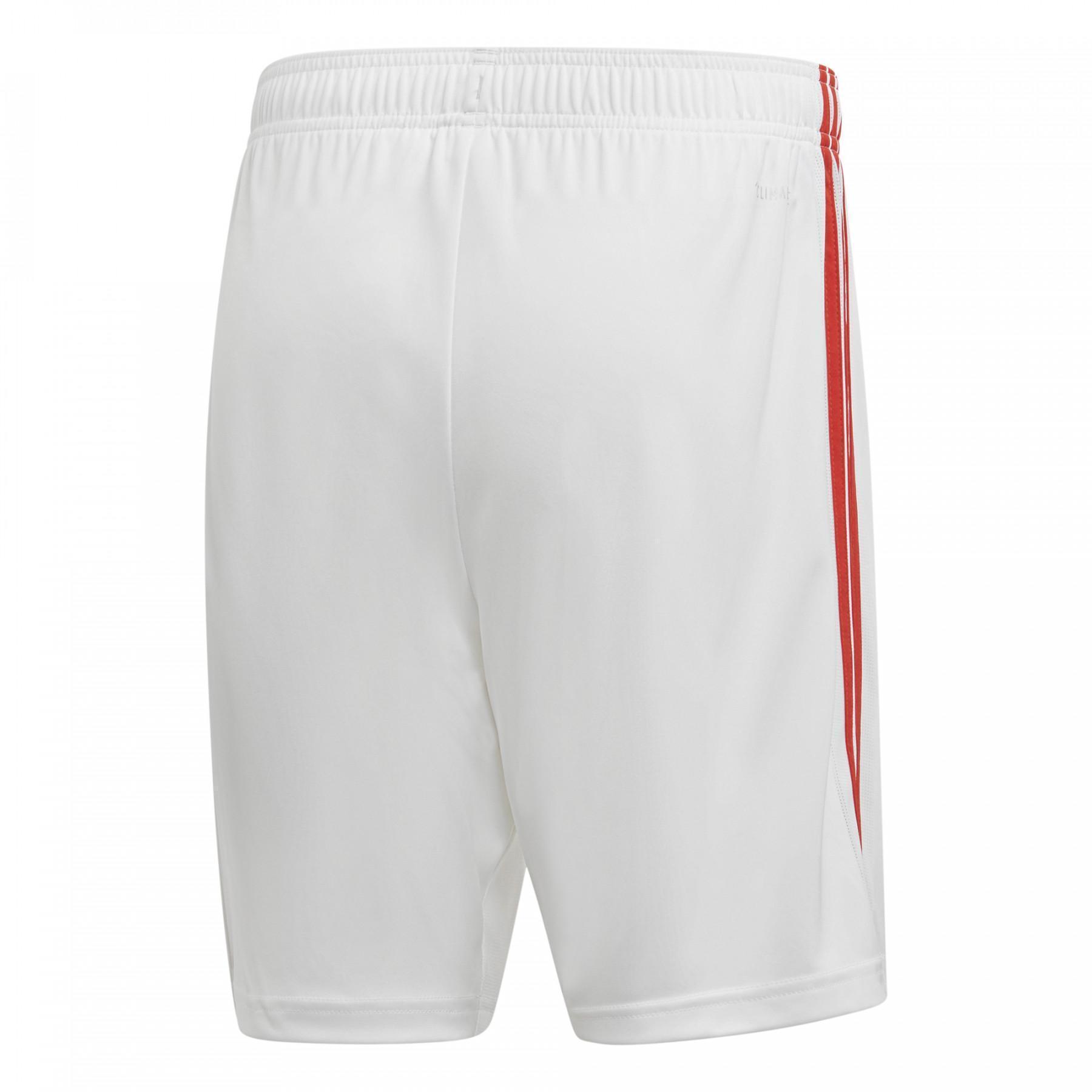 Home shorts Benfica 2019/20