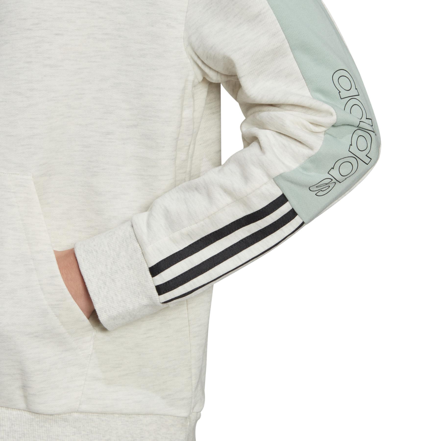 Women's hooded sweatshirt adidas Essentials Logo Colorblock
