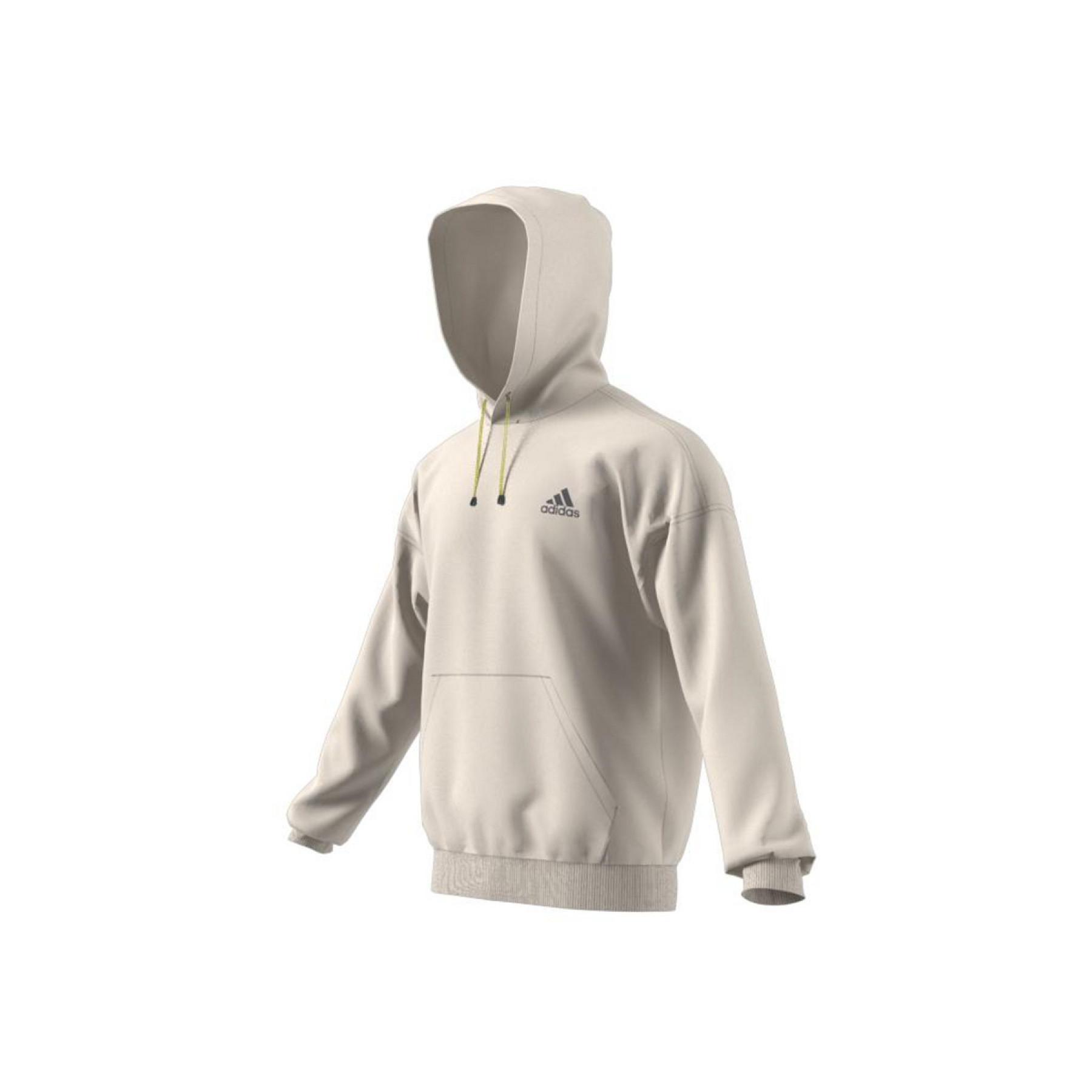 Hooded sweatshirt adidas Mountain Graphic