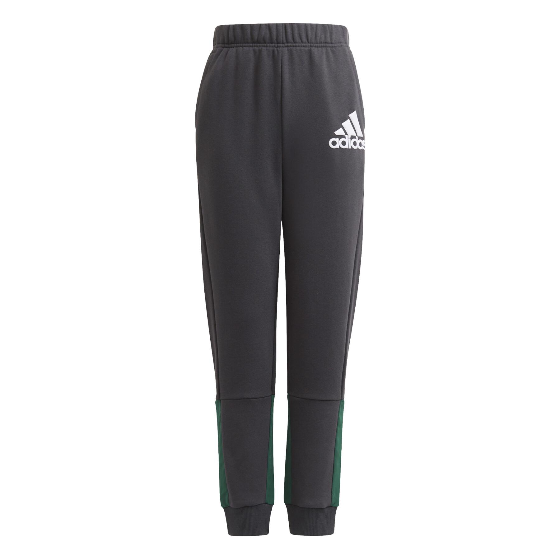 Boy's trousers adidas Badge of Sport