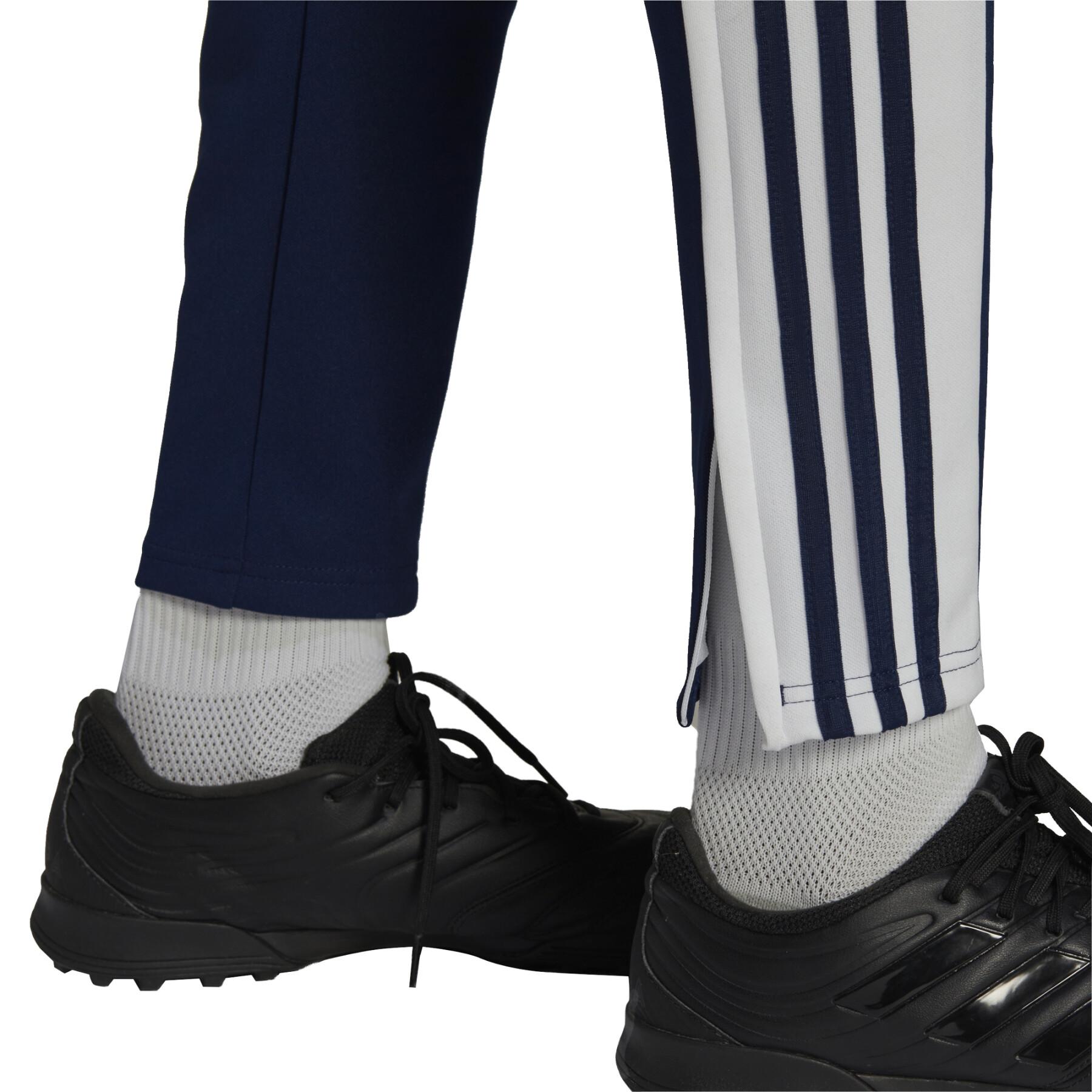 Training Pants adidas Squadra 21