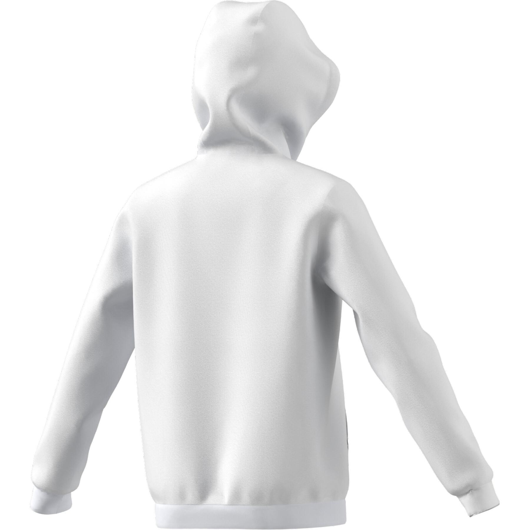 Children's hoodie adidas Entrada 22