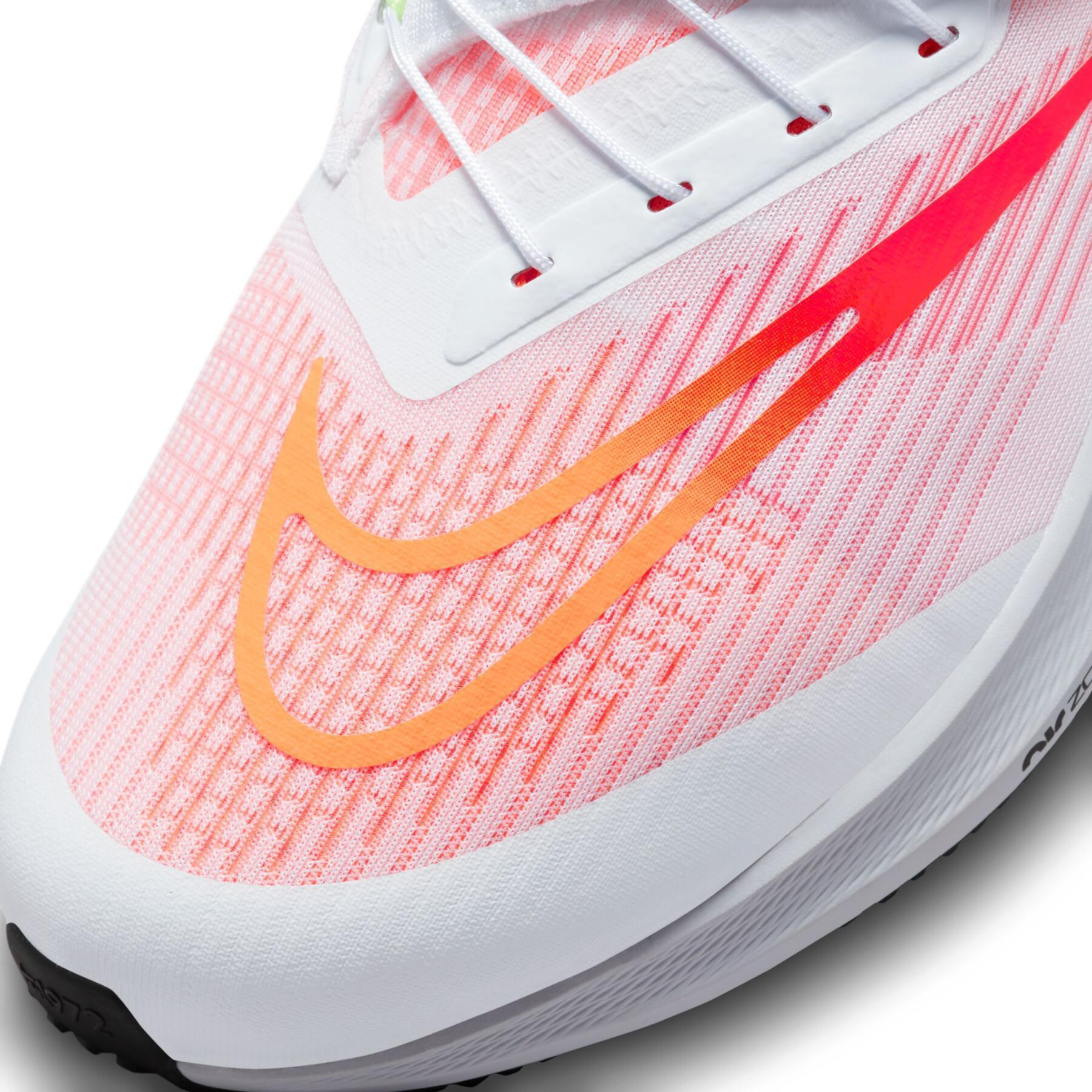 Running shoes Nike Air Zoom Pegasus 39 FlyEase