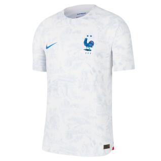 Authentic outdoor jersey France Dri-FIT Adv 2022/23