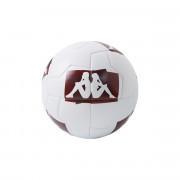 Balloon FC Metz 2020/21 player 20.3g