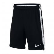 Children's shorts Nike Dry Squad 18