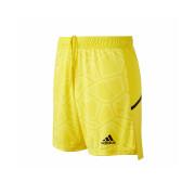 Goalkeeper shorts OL
