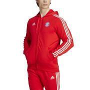 Hooded sweatshirt Bayern Munich DNA