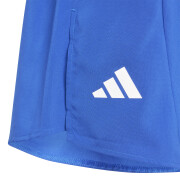 Children's shorts adidas Team Split