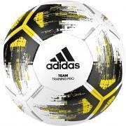 Pack of 10 balloons adidas Team Training Pro Taille 5