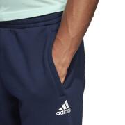 Pants adidas sportswear TAN Graphic