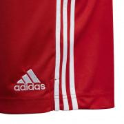 Home shorts Hambourg SV 2020/21