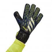 Goalkeeper gloves adidas Pred GL MTC