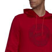 Hooded sweatshirt fc Bayern Munich DNA