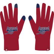 Gloves Arsenal Saison 2021/22
