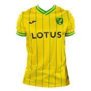 Home jersey Norwich City FC 2022/23