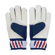 Goalkeeper gloves 2017/18