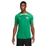 World Cup 2022 training jersey Nigeria