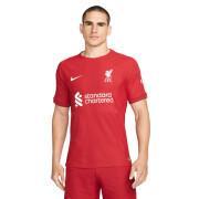 Authentic home jersey Liverpool FC 2022/23