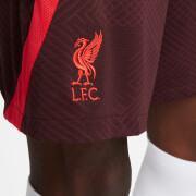 Training shorts Liverpool FC Strike Ks 2022/23